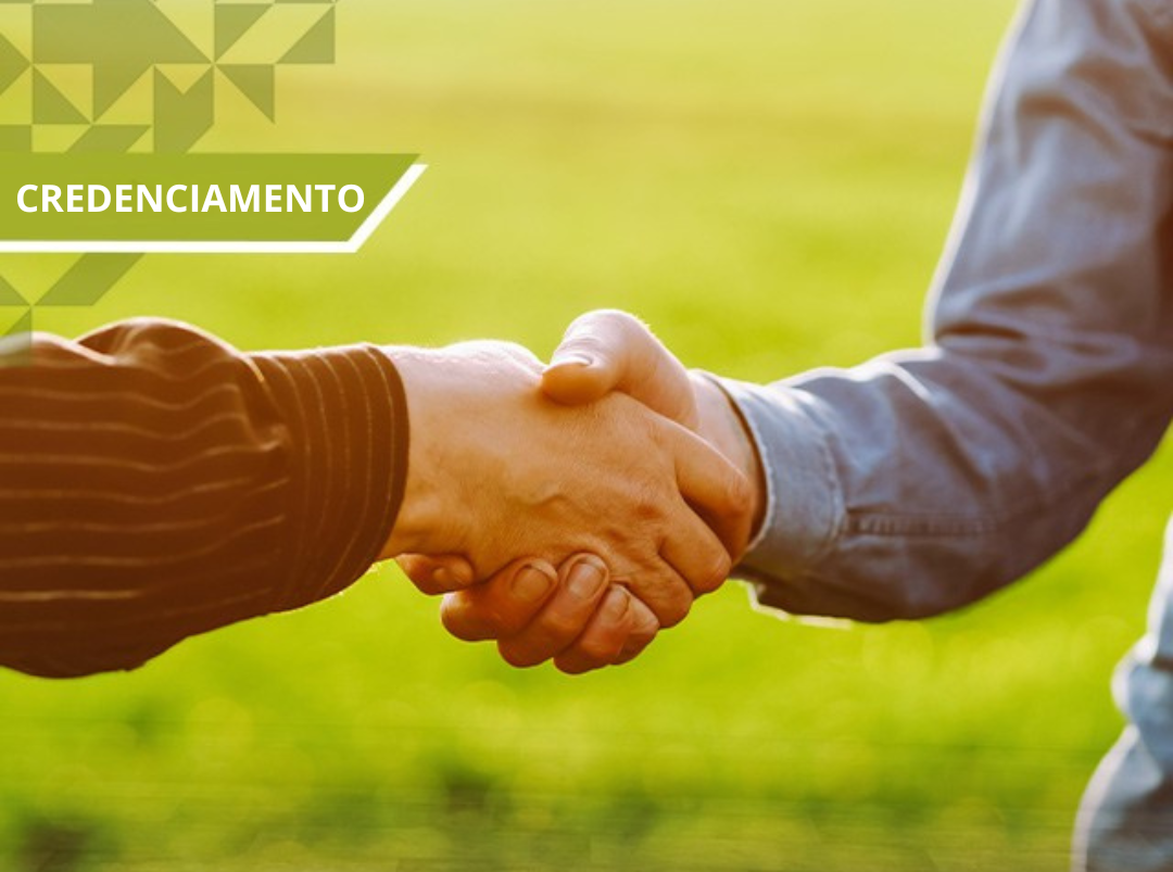 Celeiro de Ideias é credenciado na Rede Paulista de Incubadoras e impulsiona inovação no interior